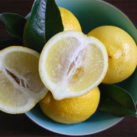 Photo de citrons 4