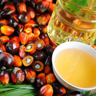 Foto palmový olej