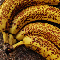 Foto bananas 5