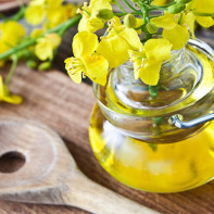 Photo of camelina oil