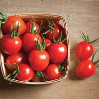 Снимка на Cherry Tomatoes 2