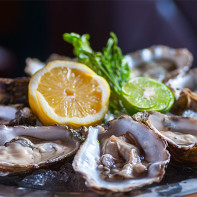 Photo oysters 6