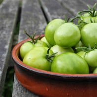 Fotografija zelene rajčice 2
