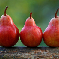 Photo pears 3