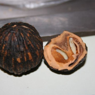 Kuva mustasta pähkinä 5
