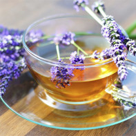 Hình ảnh trà hoa oải hương