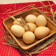 Gine tavuğu yumurtası fotoğrafı 5