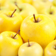 תמונה של תפוחים
