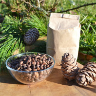 Photo pine nuts 2