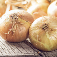 Photo of onion 4