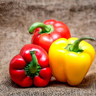 Photo of bell pepper 2