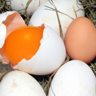 Foto de ovos de ganso 5