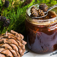 Photo of pine cone jam