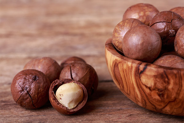 Što je korisna orašasti plod makadamije