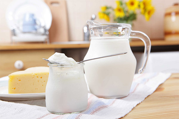 Was kann aus Joghurt gekocht werden