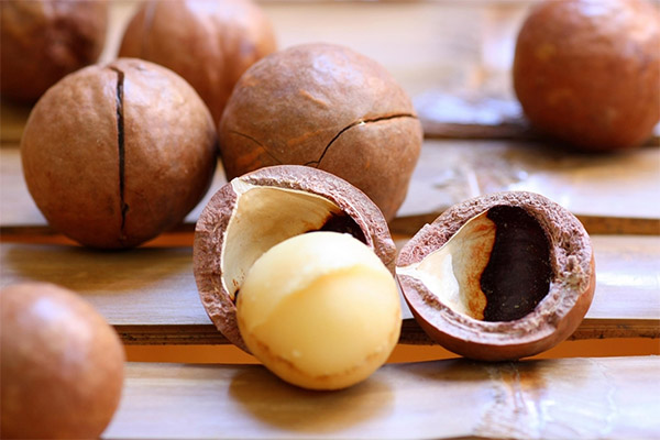How to use macadamia shell