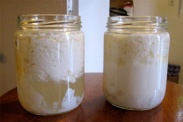 Как се прави кисело мляко