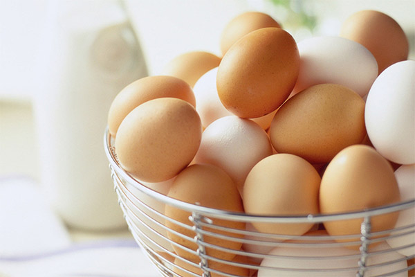 كيفية اختيار وتخزين بيض الدجاج