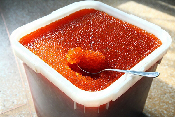 Hur man saltar kaviar