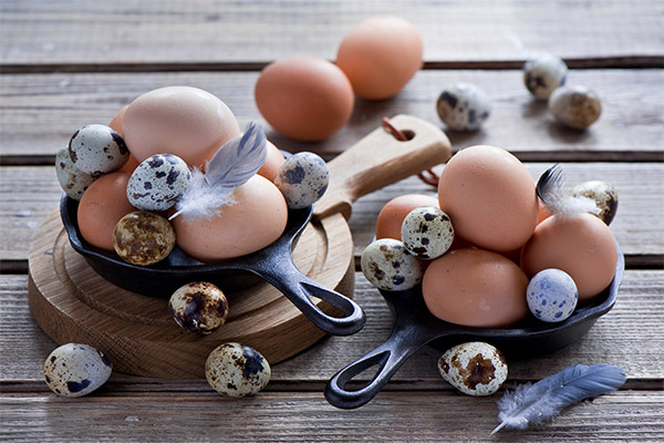 Αυγά κοτόπουλου ή ορτυκιού