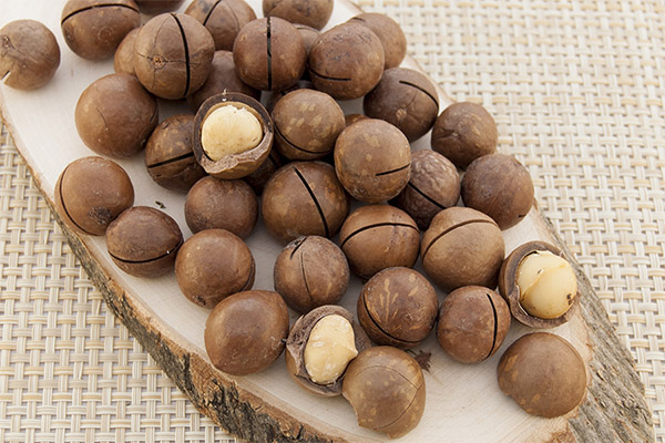 Léčivé vlastnosti makadamového ořechu