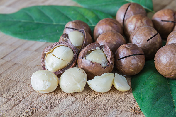 Výhody a poškodenia makadamových orechov