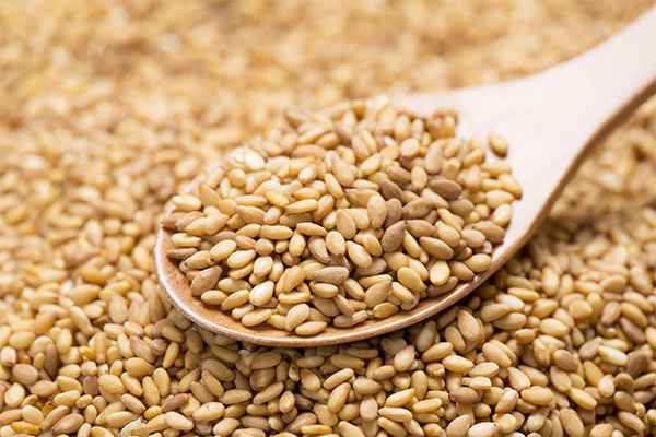 Korzyści i szkody z nasion sezamu