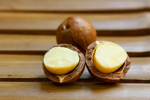 Macadamia-pähkinäetu naisille