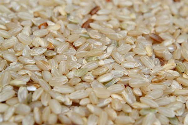 الأرز البني في الطب