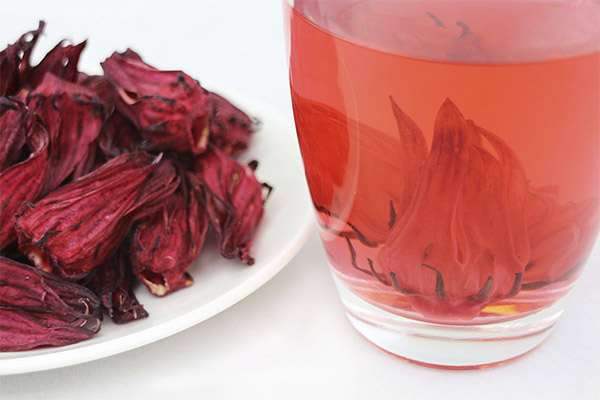 Co je užitečný čaj Hibiscus pro hubnutí