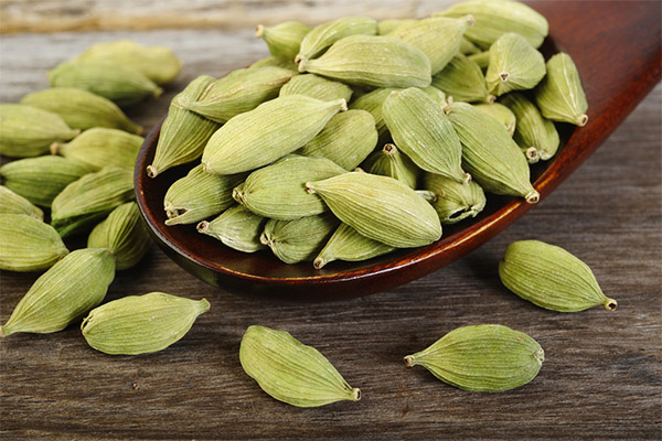 Why cardamom is useful for losing weight