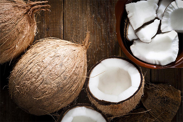 K čemu je kokos dobrý?