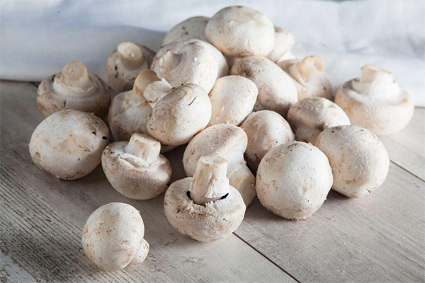What are the benefits of champignons