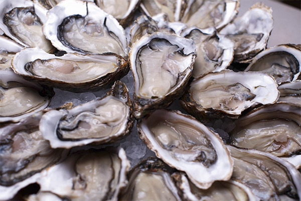 What are oysters good for?