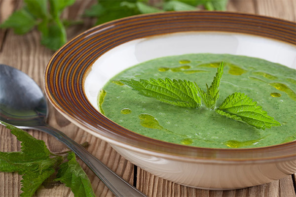 What can be cooked from nettles