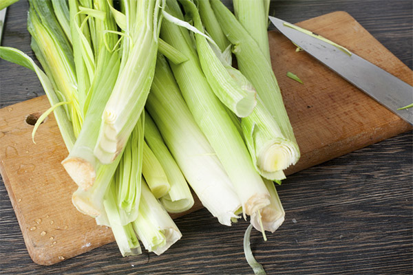 What can be cooked from leek