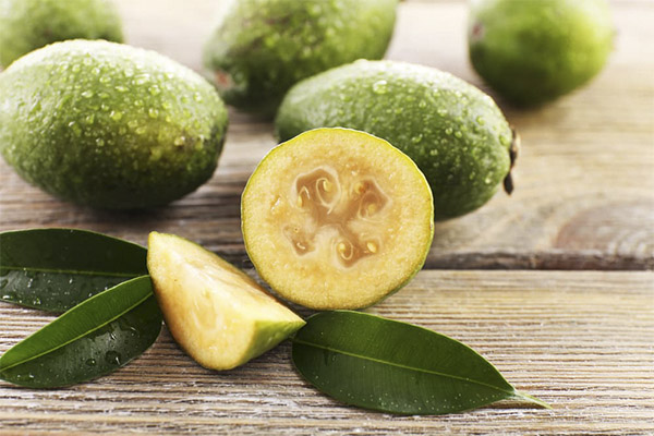 Interesting facts about Feijoa