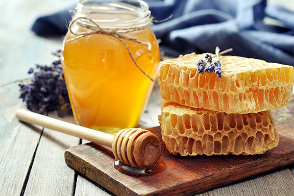 Fatos interessantes sobre o mel