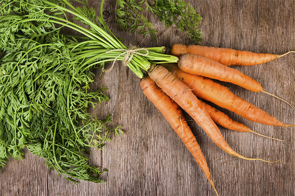 Interessante Fakten über Karotten