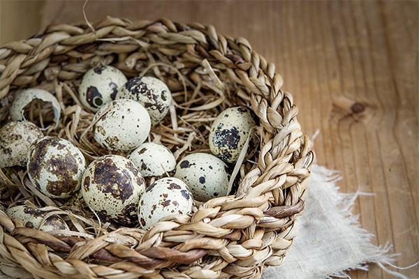 Занимљиве чињенице о препелице јаја