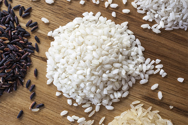 Fatos interessantes sobre o arroz