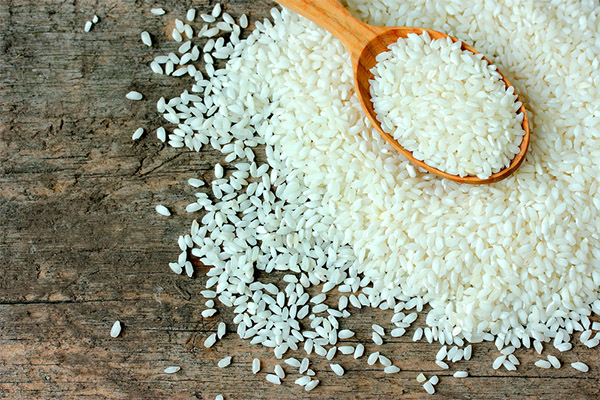 Interessante Fakten über Reis