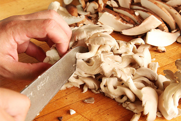 Como limpar cogumelos ostra