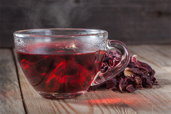 Hvordan drikke hibiscus te