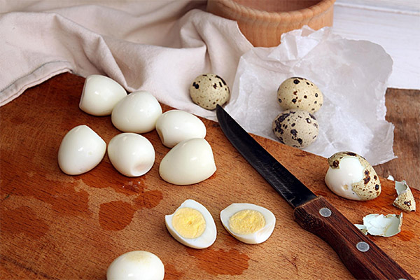 Comment faire cuire des œufs de caille