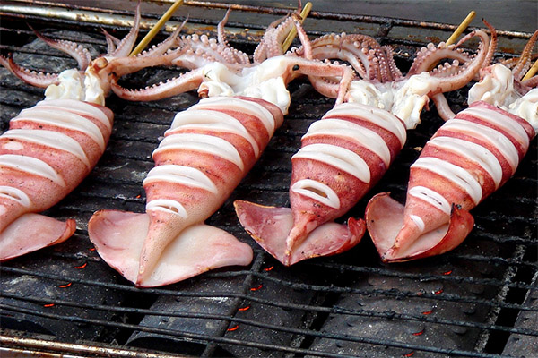 How to cook squid deliciously
