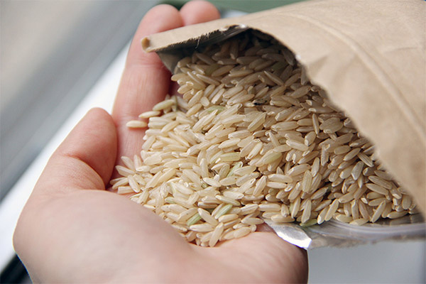 Jak vybrat a uložit hnědou rýži