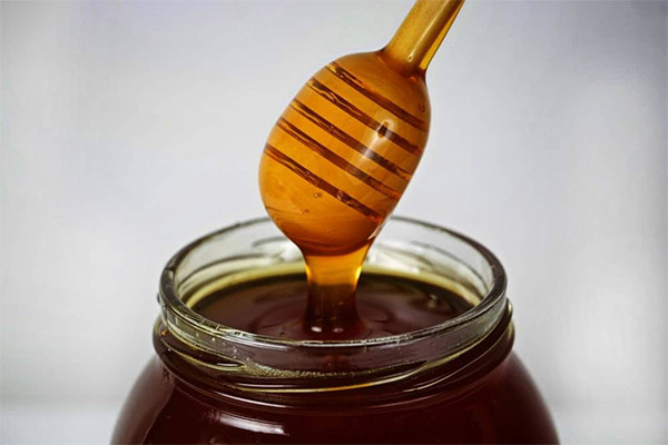 Как да изберем и съхраняваме елда мед