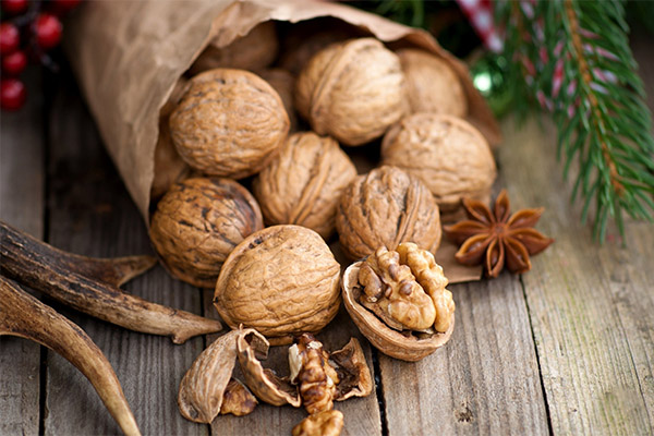 Jak si vybrat a uložit vlašské ořechy