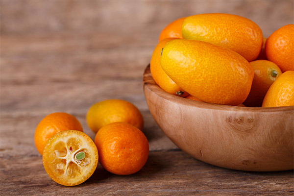 Como escolher e armazenar o kumquat